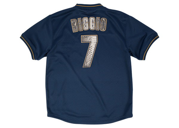 Mitchell & Ness Craig Bigio 1997 Houston Astros Authentic BP Python Jersey